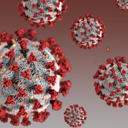 Coronavirus_Paraguay