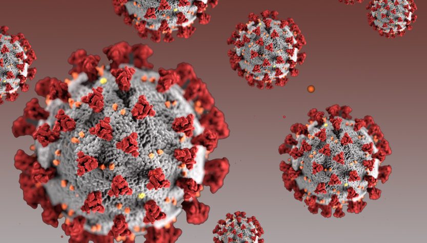 Coronavirus_Paraguay