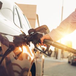 gasolina