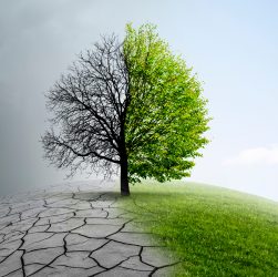 Cambio Climático
