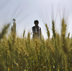 Fertilizantes_Crisis