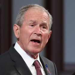 Bush