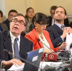 correa sutil - convención