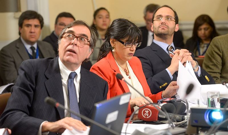 correa sutil - convención