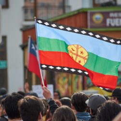 consentimiento indígena - Constitución - Chile