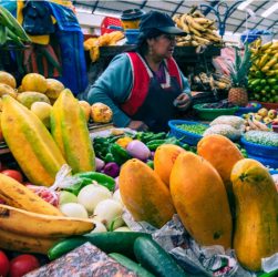precio - alimentos - peru