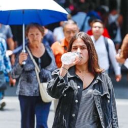 Ola de calor